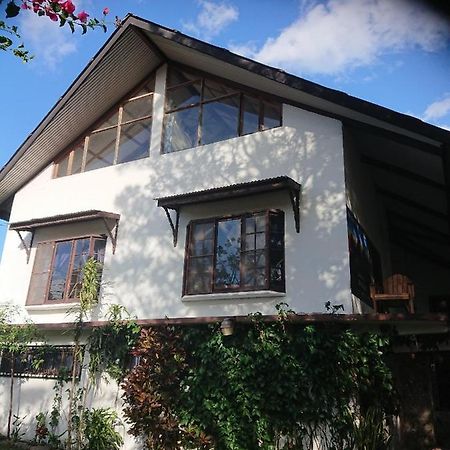 La Jungla Experience Lodgings - Vacation Home And Apartment ボケテ エクステリア 写真