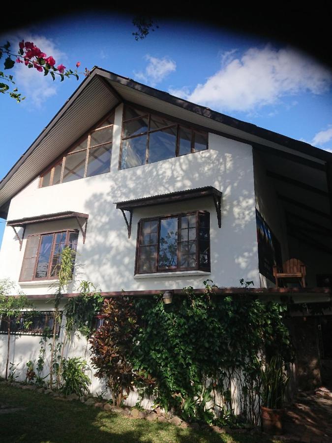 La Jungla Experience Lodgings - Vacation Home And Apartment ボケテ エクステリア 写真