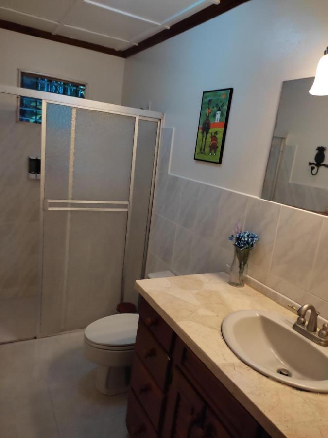 La Jungla Experience Lodgings - Vacation Home And Apartment ボケテ エクステリア 写真