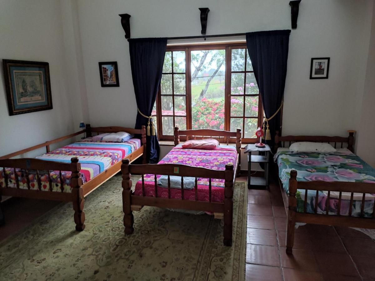 La Jungla Experience Lodgings - Vacation Home And Apartment ボケテ エクステリア 写真