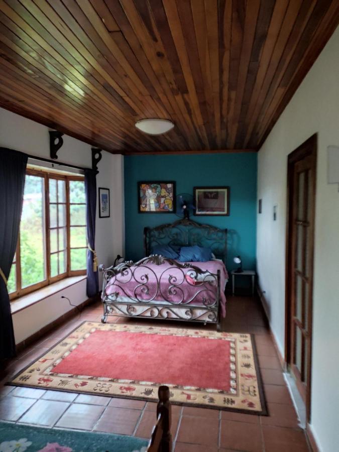 La Jungla Experience Lodgings - Vacation Home And Apartment ボケテ エクステリア 写真
