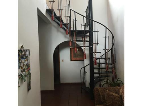 La Jungla Experience Lodgings - Vacation Home And Apartment ボケテ エクステリア 写真