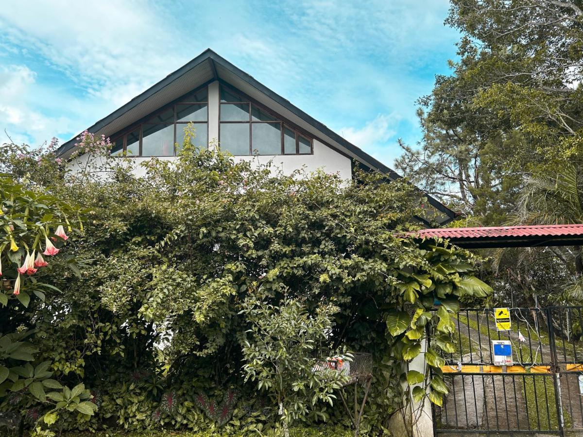 La Jungla Experience Lodgings - Vacation Home And Apartment ボケテ エクステリア 写真